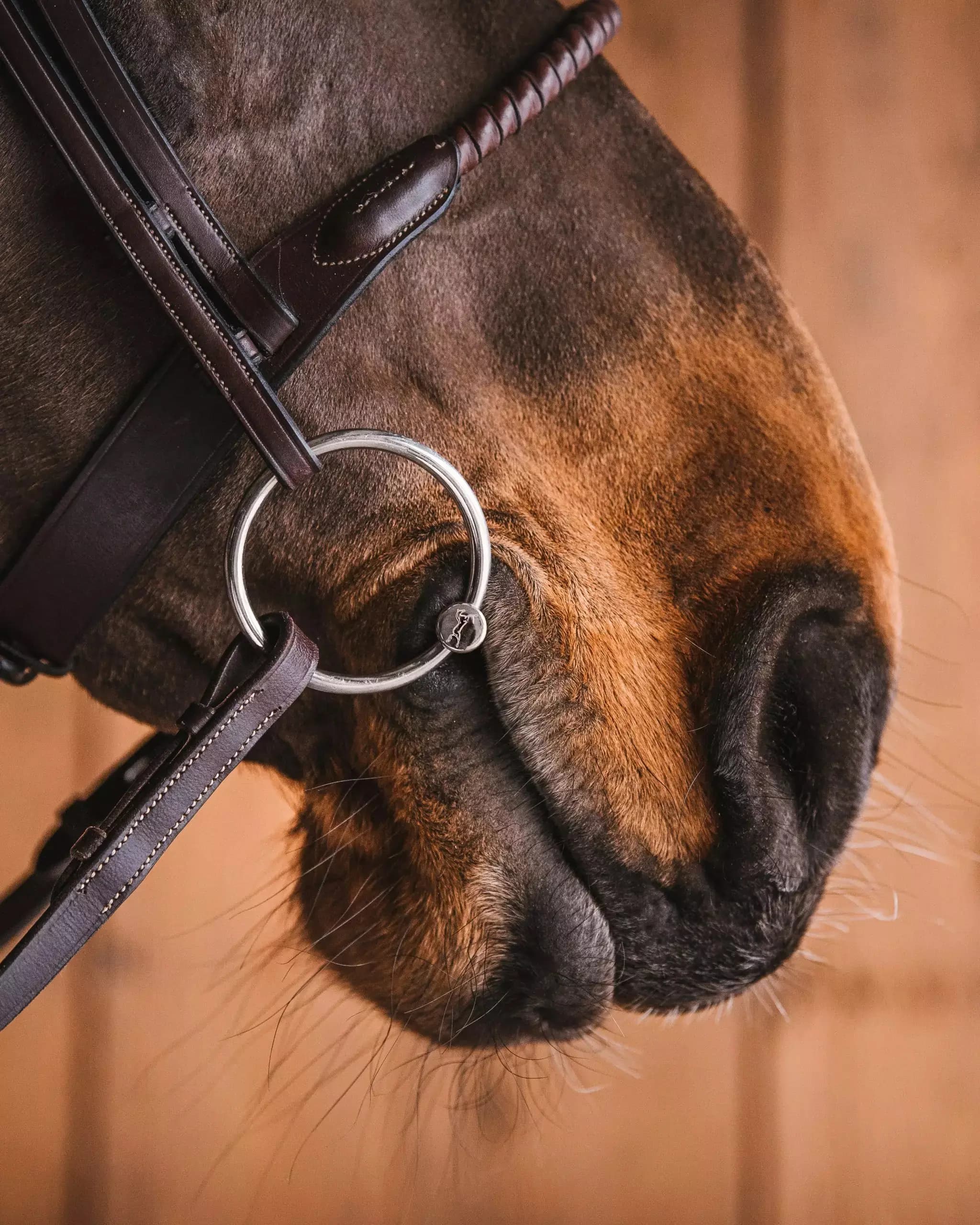 loose-rings-sweet-iron